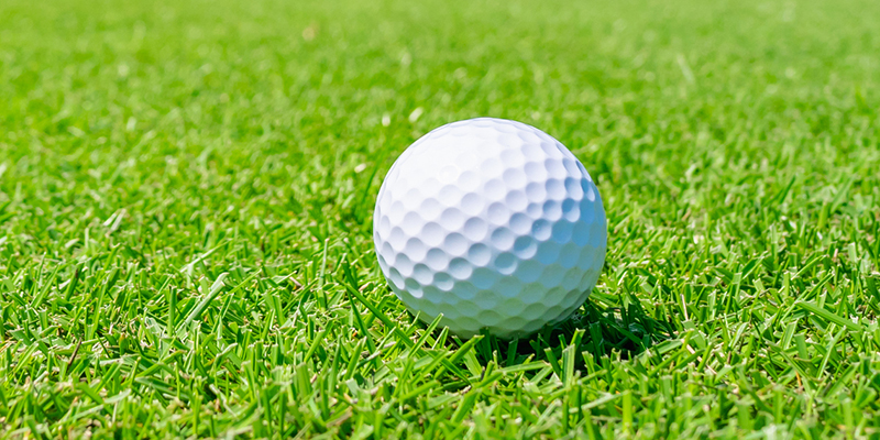 2020_LP_Side_Image_Golf1_800.jpg