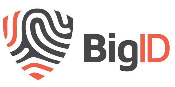 Updated_BigID_Logo.jpg