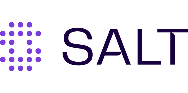Updated_New_Salt_Security_Logo.png